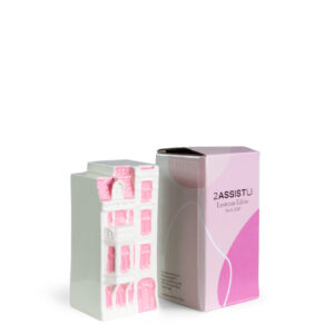 Ceramic miniature house